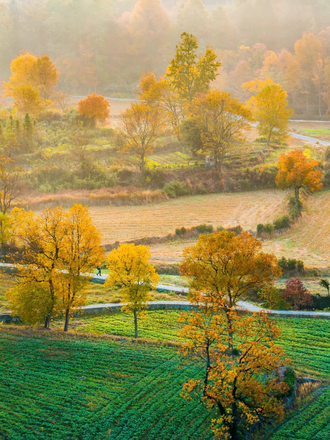 还想去第二次的赏秋圣地——塔川秋色❗️_5_无事有闲_安徽徽州-来自52tours 我爱旅游网